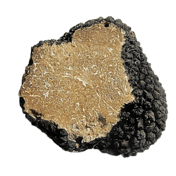 Fresh Summer Truffle